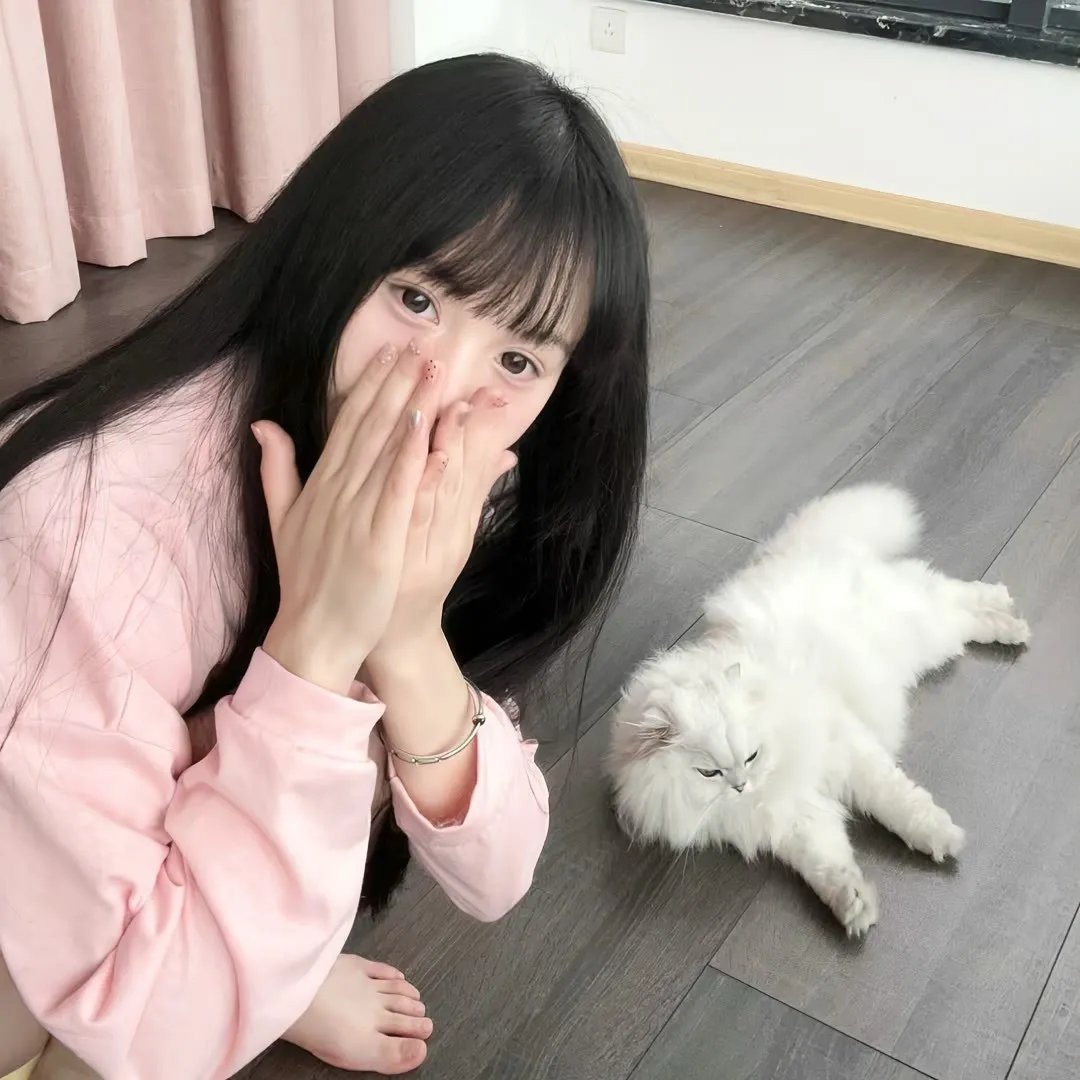 完美星球