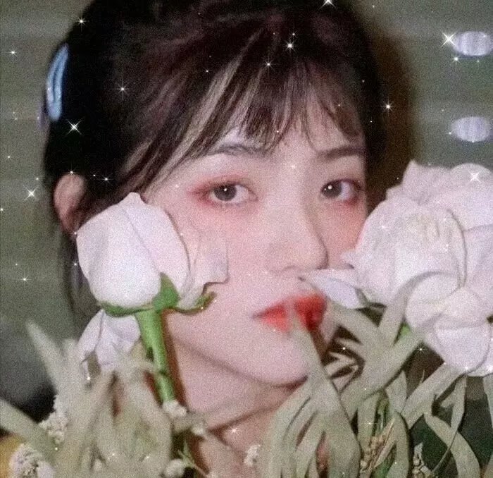 来自天使海湾的玛丽